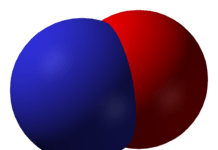 New Enzymes Critical for Cell Functioning Discovered New Enzymes Critical for Cell Functioning Discovered