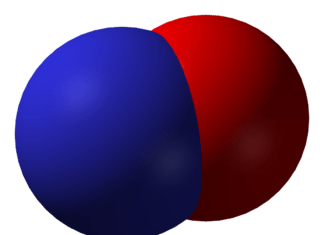 New Enzymes Critical for Cell Functioning Discovered