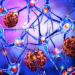 Study Finds Cytokine IL-23 to Play Crucial Role in Autoimmune Diseases