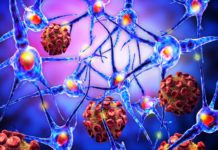 Study Finds Cytokine IL-23 to Play Crucial Role in Autoimmune and Inflammatory Diseases Study Finds Cytokine IL-23 to Play Crucial Role in Autoimmune Diseases