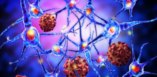 Study Finds Cytokine IL-23 to Play Crucial Role in Autoimmune Diseases
