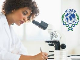 Arturo Falaschi ICGEB PhD Fellowship Programmes (Life Sciences) Arturo Falaschi ICGEB PhD Fellowship Programmes (Life Sciences)