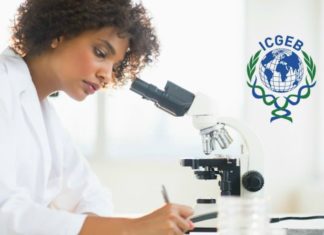 Arturo Falaschi ICGEB PhD Fellowship Programmes (Life Sciences)