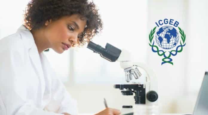 Arturo Falaschi ICGEB PhD Fellowship Programmes (Life Sciences)