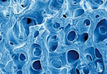 Scientists Report Efficient, Scalable Strategy to Produce Biorelevant Nanomaterials Efficient, Scalable Strategy to Produce Biorelevant Nanomaterials