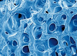 Scientists Report Efficient, Scalable Strategy to Produce Biorelevant Nanomaterials Efficient, Scalable Strategy to Produce Biorelevant Nanomaterials