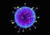 Universal Flu Vaccine Constituting Double-Layered Protein Nanoparticles