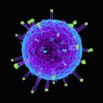 Universal Flu Vaccine Constituting Double-Layered Protein Nanoparticles