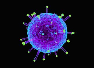 Universal Flu Vaccine Constituting Double-Layered Protein Nanoparticles