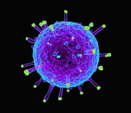 Universal Flu Vaccine Constituting Double-Layered Protein Nanoparticles