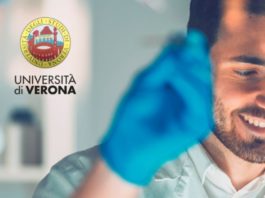 Doctoral Programme @ University of Verona