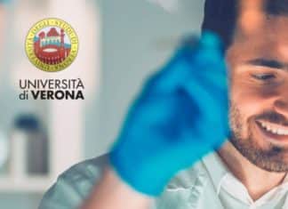 Doctoral Programme @ University of Verona