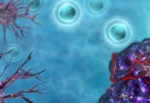 Mutations in Chromatin Remodelling Genes Could Play Key Role in Cancer Immunotherapy Resistance