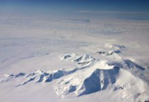 Living Polar Snow Microbes Documented for the First Time Living Polar Snow Microbes Documented for the First Time