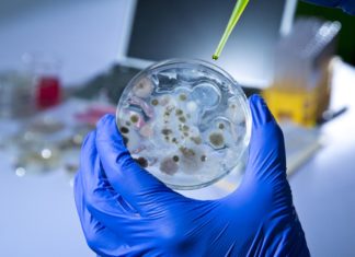 Rapid Legionella Detecting Microchip Developed Research Associate (Trainee) Position Vacant @ TERI