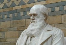 New Study Accredits Darwin’s Ecological Hypothesis