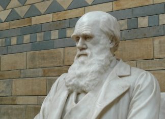New Study Accredits Darwin’s Ecological Hypothesis