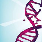 Irreversible DNA Damage Inflicted by Alcohol Ups Cancer Risk: Study Irreversible DNA Damage Inflicted by Alcohol Ups Cancer Risk