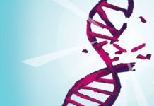 Irreversible DNA Damage Inflicted by Alcohol Ups Cancer Risk: Study Irreversible DNA Damage Inflicted by Alcohol Ups Cancer Risk