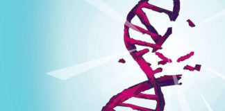 Irreversible DNA Damage Inflicted by Alcohol Ups Cancer Risk