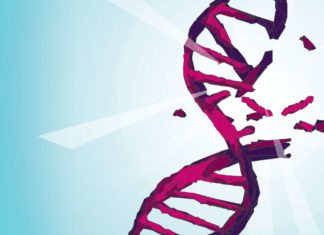 Irreversible DNA Damage Inflicted by Alcohol Ups Cancer Risk