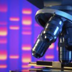 LMU Chemist Reports DNA Stand-in Capable of Outwitting Viruses Luna DNA aims to incentivize sharing of genetic information with a cryptocurrency- this is where the blockchain fits into the equation