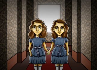 SuperSemblance: Identical Twins, Identical Genes, Identical Epigenetics