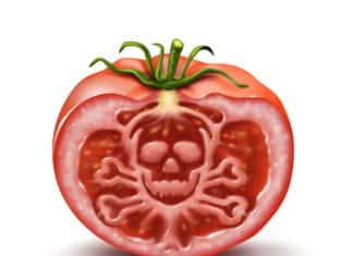 French Biotech Designing Food Safety Kits Raises €2.2M