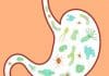 Gut Microbiome Could Hold Key to Longevity