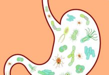 Gut Germs Could Help Cut Cancer Risk by Altering Chemical Markers Gut Microbiome Could Hold Key to Longevity
