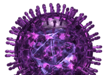 Synthetic Neuron Could Shed Light on Herpes Infection Synthetic Neuron Could Shed Light on Herpes Infection