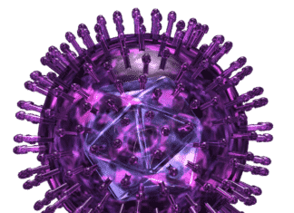 Synthetic Neuron Could Shed Light on Herpes Infection