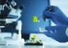 Project Assistant for MSc Biosciences @ Bharathidasan University Project Assistant for MSc Biosciences @ Bharathidasan University