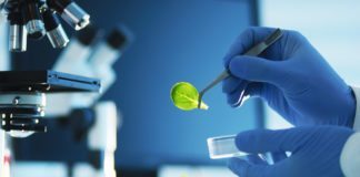 Project Assistant for MSc Biosciences @ Bharathidasan University