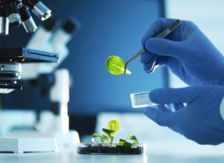 Project Assistant for MSc Biosciences @ Bharathidasan University