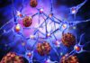 Testosterone-induced Molecule Could Explain Why Men are Better Guarded against MS