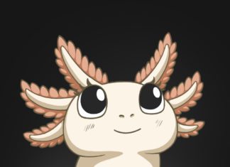 Sequenced Axolotl Genome Unravels Genetic Roots of Sophisticated Regeneration Axolotl Genome Unravels Genetic Roots of Sophisticated Regeneration