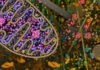 New Study Digs Deep into mtDNA to Better Understand Patterns of Genetic Mosaicism New Study Digs Deep into mtDNA to Understand Genetic Mosaicism