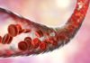 Scientists Develop Blood-Vessel-On-A-Chip to Model Coagulation In Vitro, Pave Way for New Anti-Inflammatory Drug Candidate Blood-Vessel-On-A-Chip to Model Coagulation In Vitro