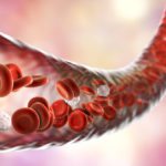 Blood-Vessel-On-A-Chip to Model Coagulation In Vitro