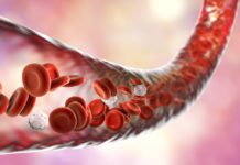 Scientists Develop Blood-Vessel-On-A-Chip to Model Coagulation In Vitro, Pave Way for New Anti-Inflammatory Drug Candidate Blood-Vessel-On-A-Chip to Model Coagulation In Vitro