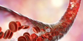 Blood-Vessel-On-A-Chip to Model Coagulation In Vitro