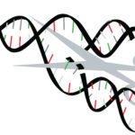 Microsoft’s AI Tool to Tune up Gene Editing Accuracy Microsoft’s AI Tool to Tune up Gene Editing Accuracy