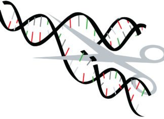Microsoft’s AI Tool to Tune up Gene Editing Accuracy