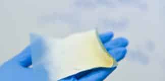 Biodegradable Bandages Expedite Normal Regeneration of Burnt Tissue