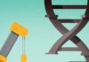 Improved Gene-Editing Offers Correction of Diverse Muscular Dystrophy Mutations Improved Gene-Editing Corrects Diverse Muscular Dystrophy Mutations