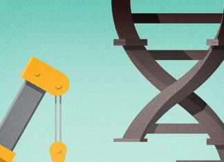 Improved Gene-Editing Offers Correction of Diverse Muscular Dystrophy Mutations Improved Gene-Editing Corrects Diverse Muscular Dystrophy Mutations