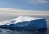 Algae Underside of Arctic Thrive Even at 0.02% Light