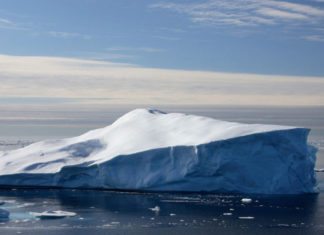 Algae Underside of Arctic Thrive Even at 0.02% Light
