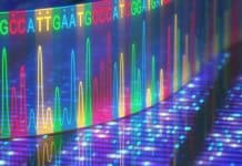 Scientists Develop $2 per gene DIY Sequencing Tech